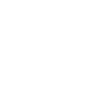 Ravoz - White.png