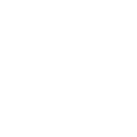 Somans - White.png