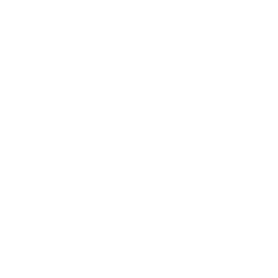 Trolley Mart - White.png