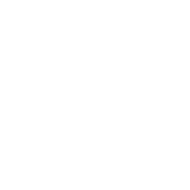 Vithayathil Homes - Colour.png