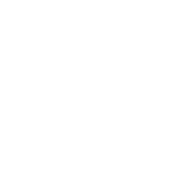 World Star - White.png